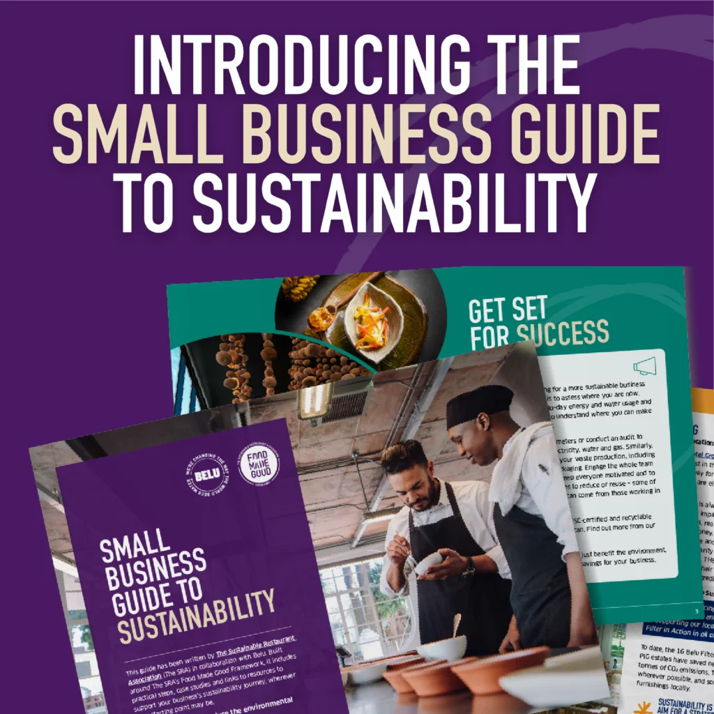 Belu SRA Small Business Guide To Sustainability